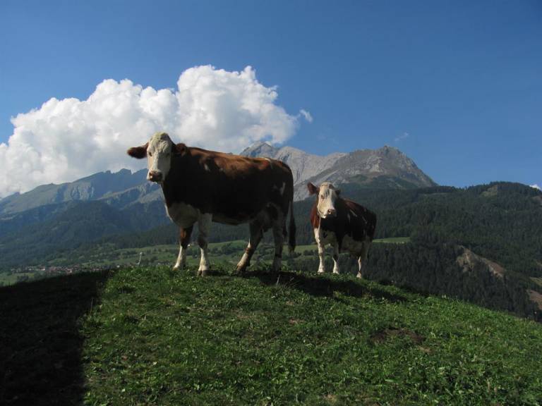 foto4