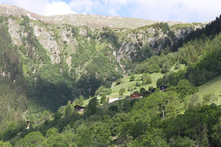 foto14