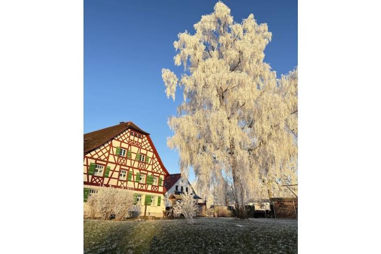foto28