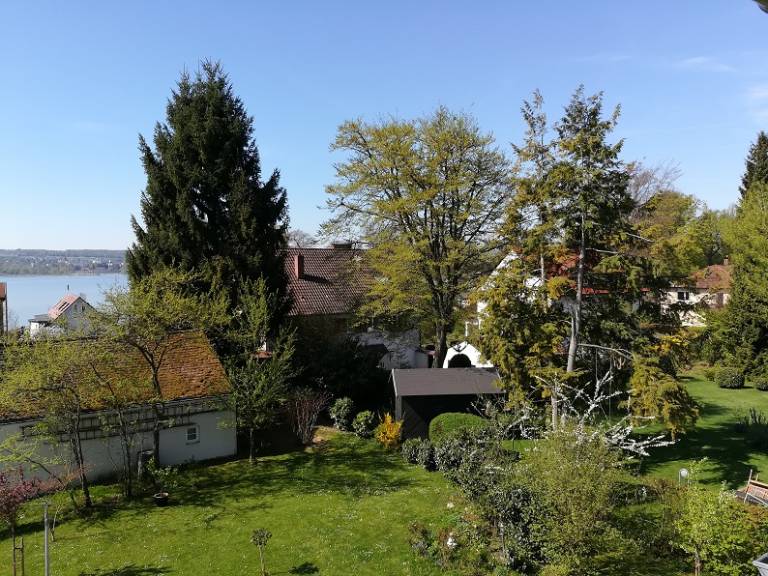 foto41