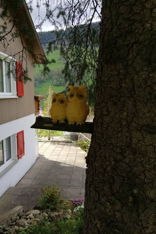 foto27