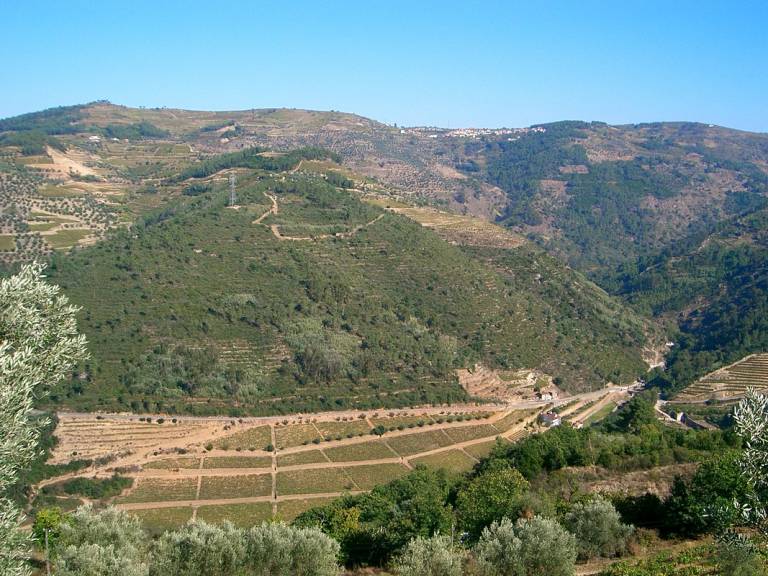 foto14