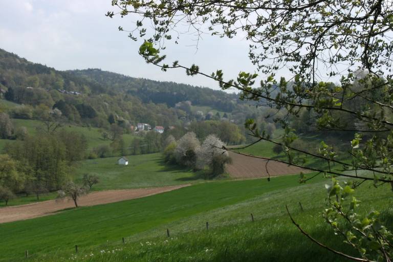 foto10