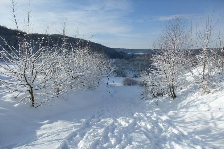 foto14