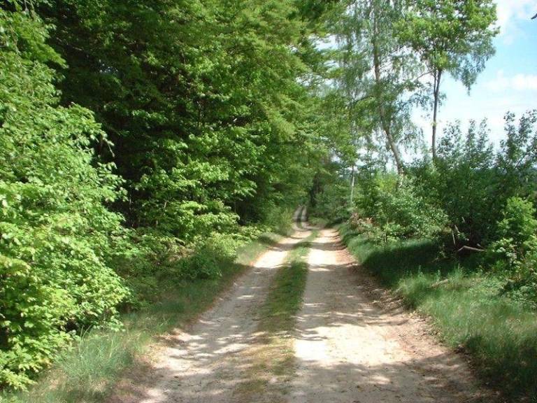 foto19