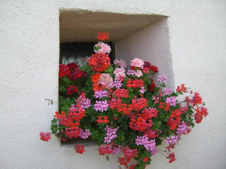 foto8