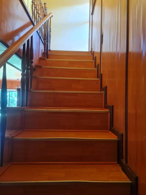 foto37