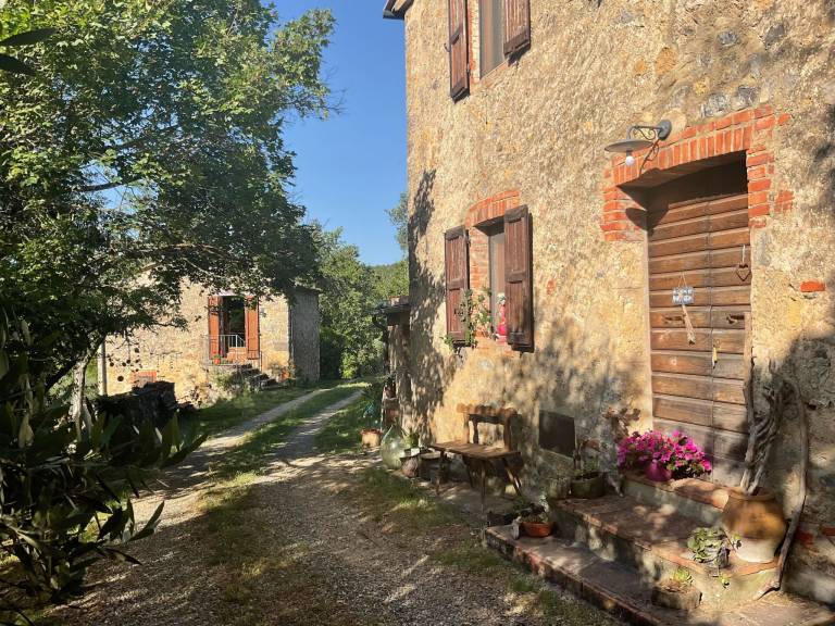 foto62