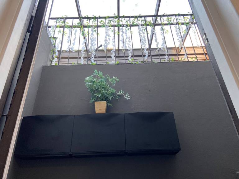 foto11