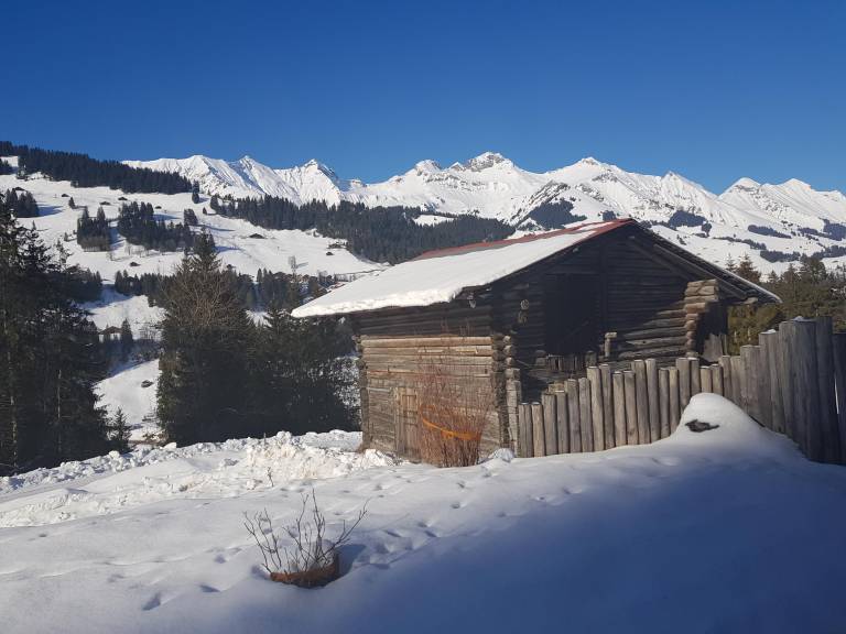 foto10