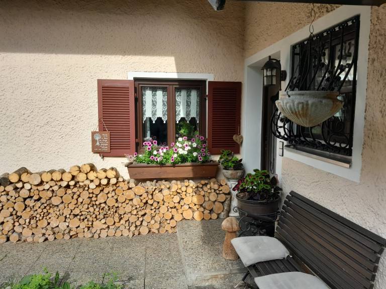 foto36
