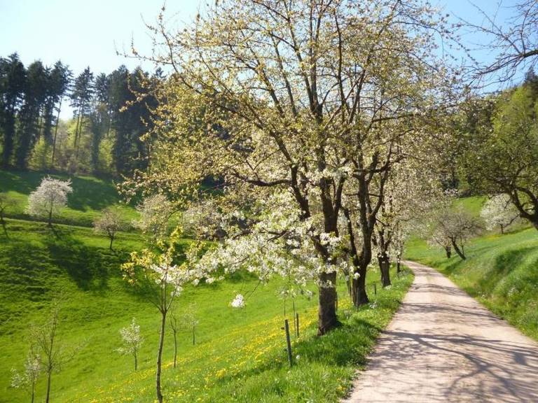 foto42