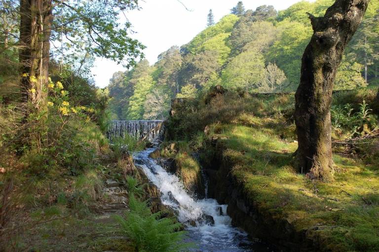 Cottage Maentwrog