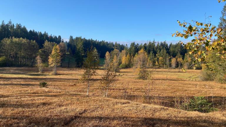 foto20