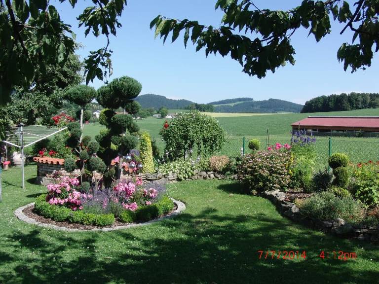 foto12