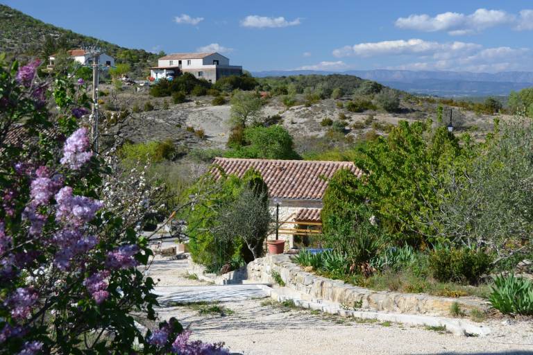foto6