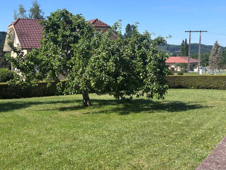 foto23