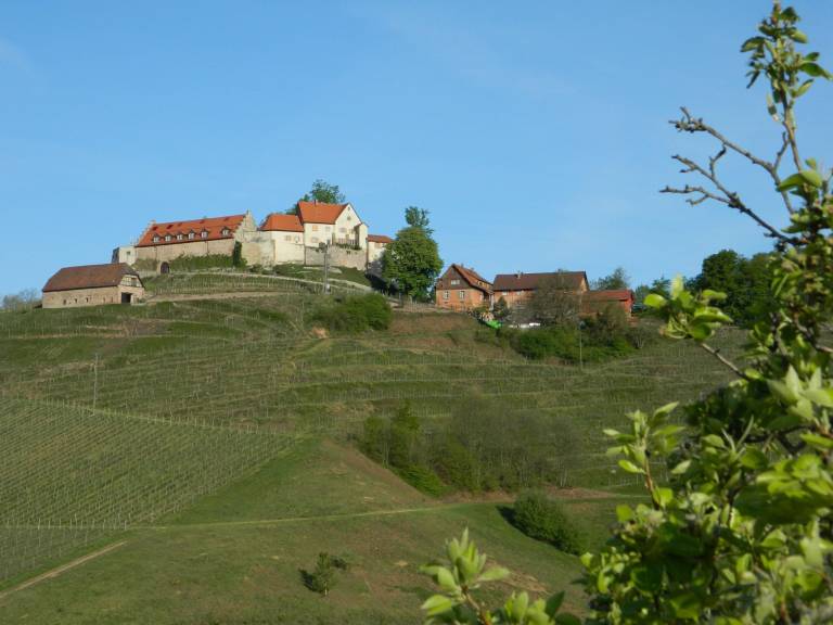 foto9