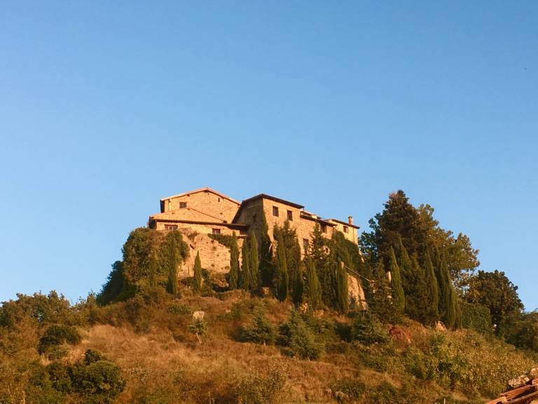 foto31
