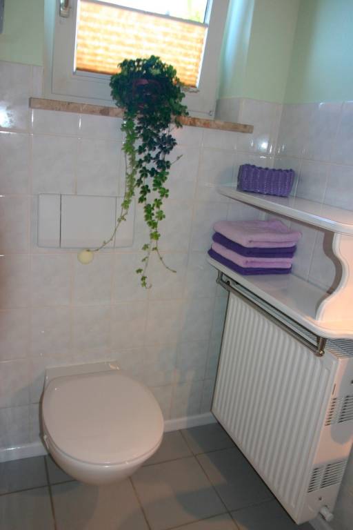 foto5