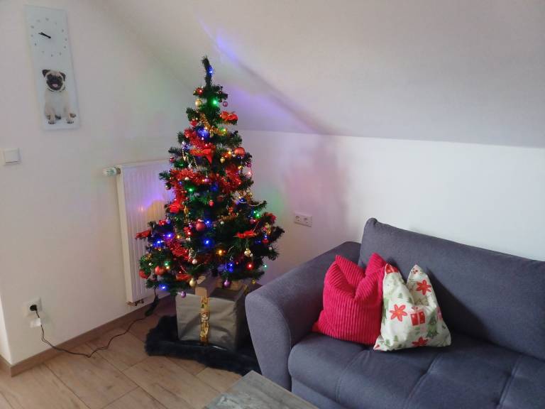 foto13