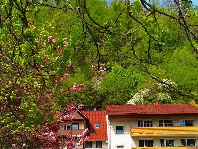 foto35