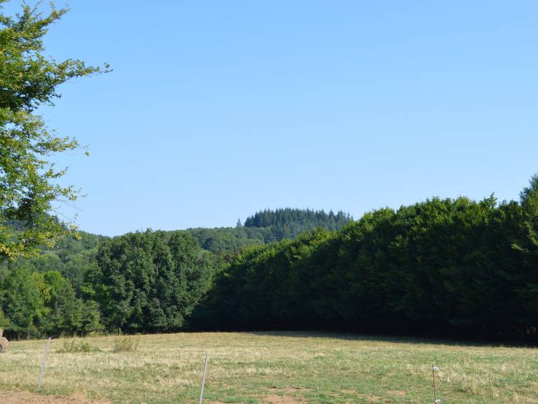 foto6