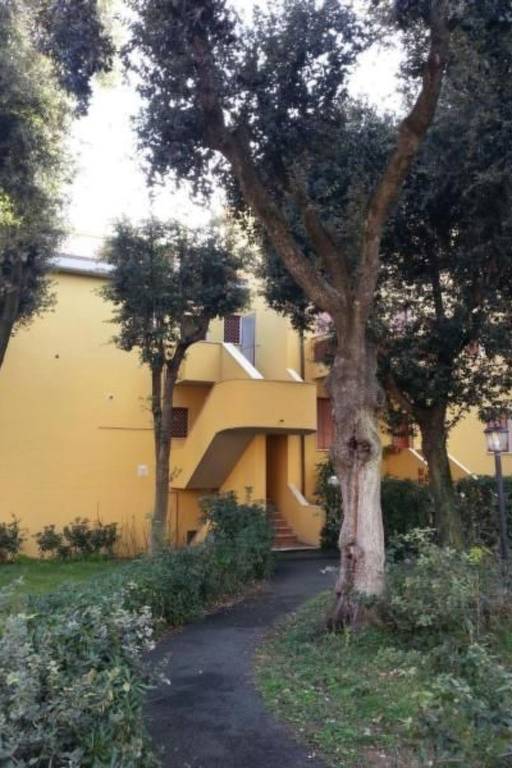 foto11