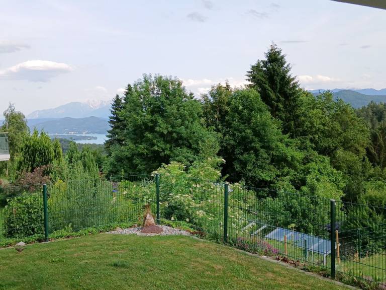 foto23