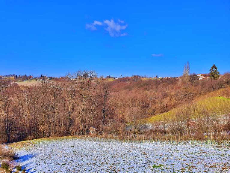 foto13