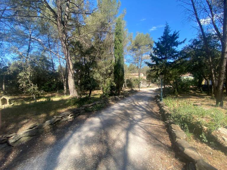 foto10