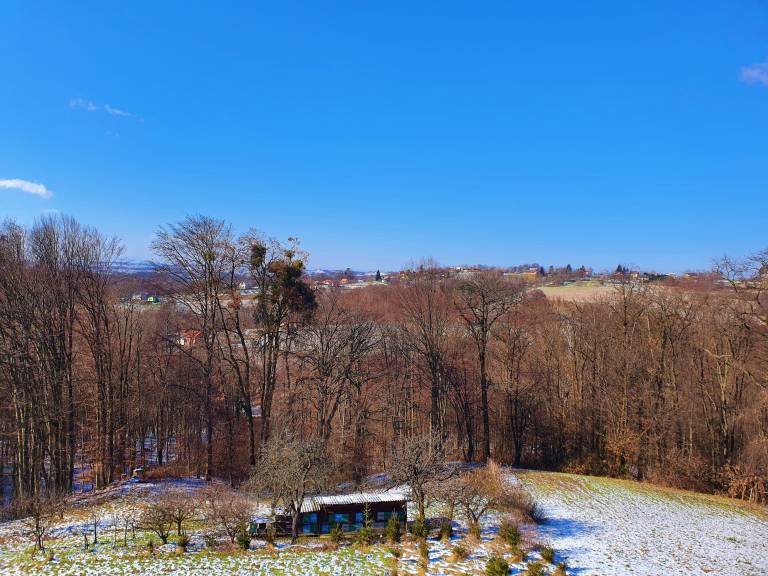 foto12