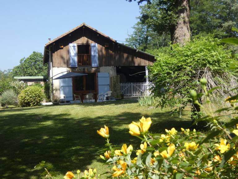 foto6