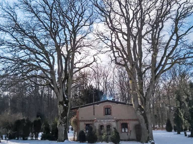 foto64