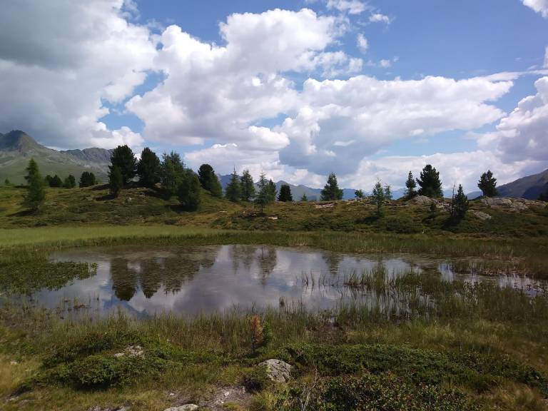 foto41