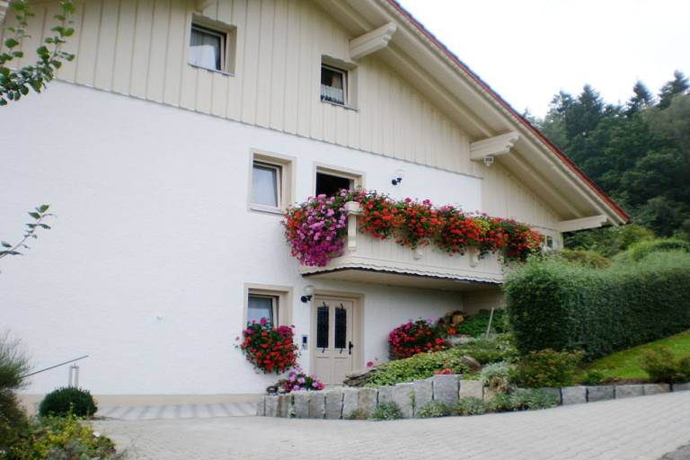 foto1