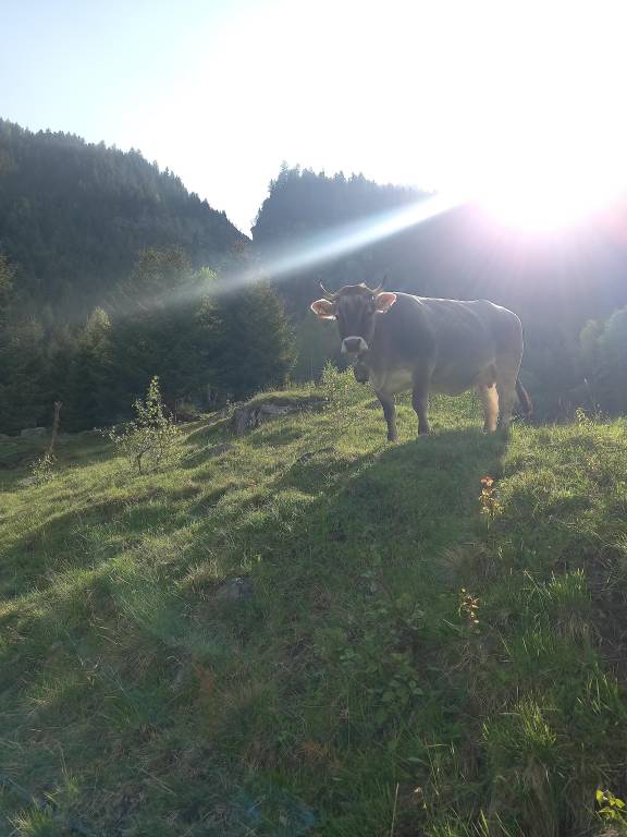 foto1