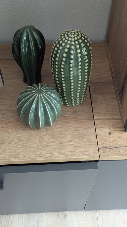 foto7