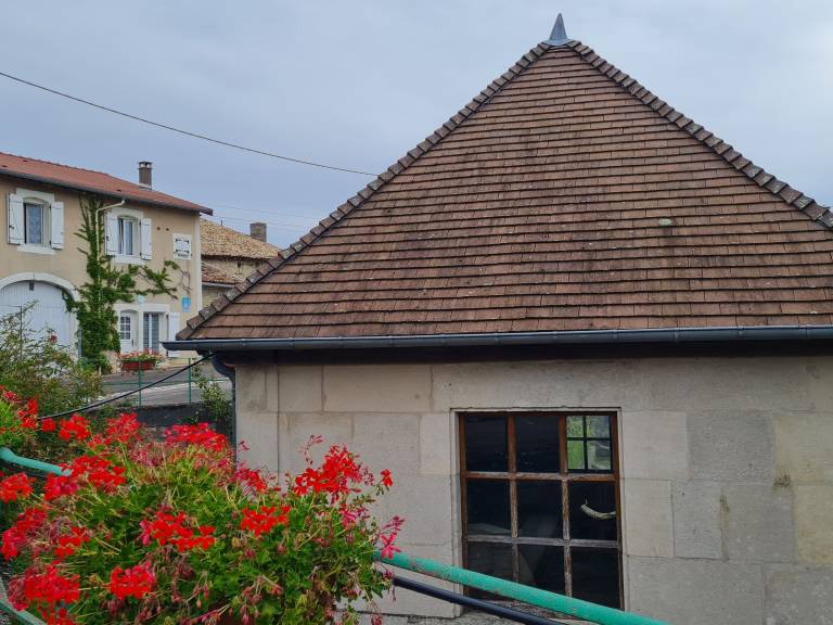 foto15