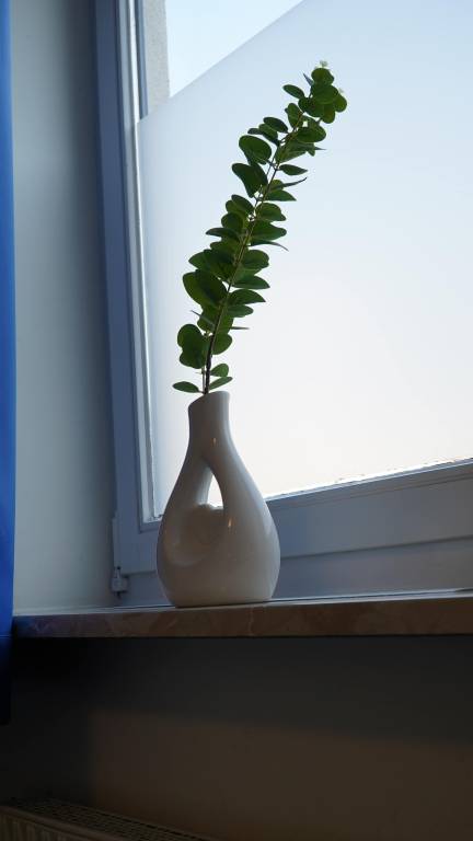 foto23