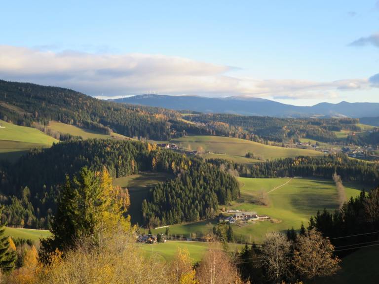 foto3