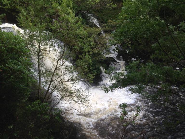 Cottage  Loch Lomond & The Trossachs National Park