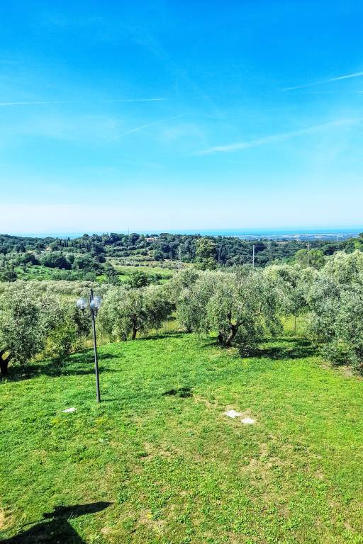 foto31