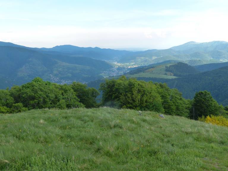 foto19