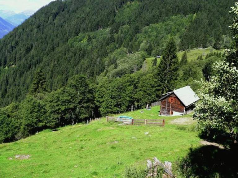foto23