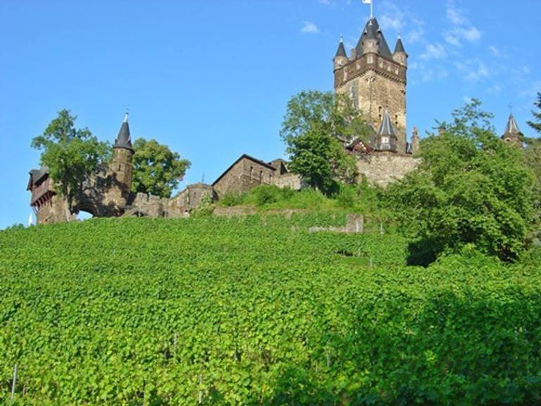 foto20