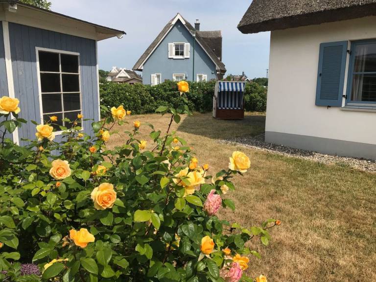 foto38