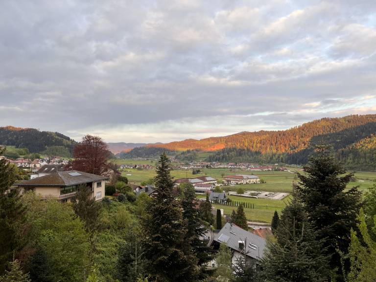 Graceland in the Black Forest