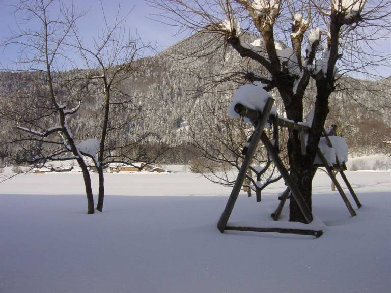 foto18