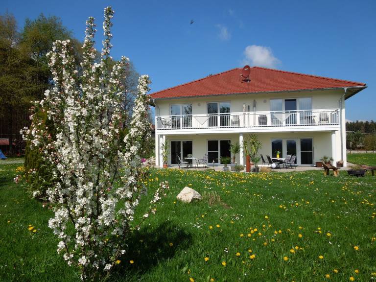 foto19